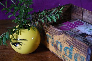 Tuck Inn Yarra Valley - Maitland Accommodation 12