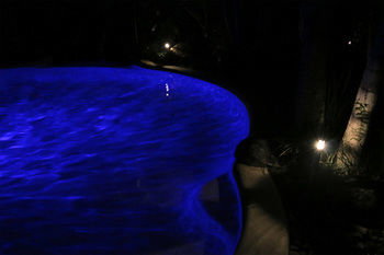 Alaya Escape - Maitland Accommodation 34