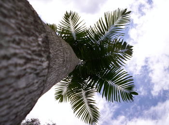 Alaya Escape - Maitland Accommodation 39