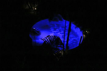 Alaya Escape - Maitland Accommodation 44