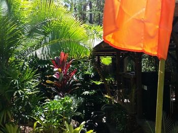 Alaya Escape - Maitland Accommodation 53