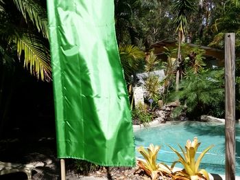 Alaya Escape - Maitland Accommodation 54