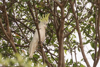 Pencil Creek Cottages - Maitland Accommodation 9