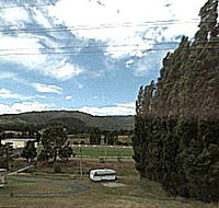 Cygnet Holiday Park - Maitland Accommodation