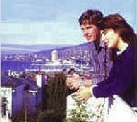 Blue Hills Motel - Maitland Accommodation 1