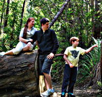Tahune Airwalk Lodge - Maitland Accommodation
