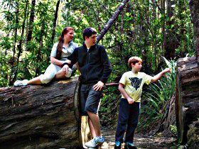 Tahune Airwalk Lodge - Maitland Accommodation 0