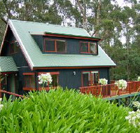 Tree Tops Cascades - Maitland Accommodation