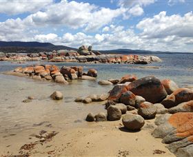 Lake Eckersley Campground - Maitland Accommodation 0