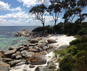 Lake Eckersley Campground - Maitland Accommodation 2