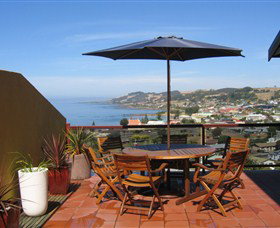 High On Penguin - Maitland Accommodation 0