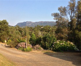Rosebery Cabin And Tourist Park - Maitland Accommodation 0