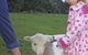 Freshwater Creek Cottages - thumb 6