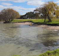 Kangaroo Lake Caravan Park - Maitland Accommodation