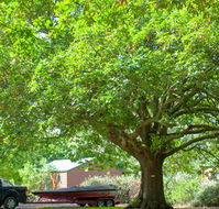 Lakes and Craters Holiday Park - Maitland Accommodation