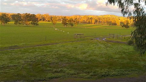 Rotherlea Lodge - Maitland Accommodation 4