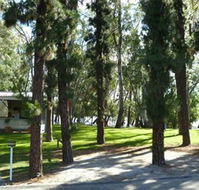 Barham Caravan  Tourist Park - Maitland Accommodation