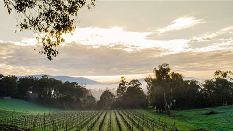 Ainsworth Estate - Maitland Accommodation 1