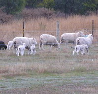 Auberge Woodend - Maitland Accommodation