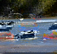 Lake Dyer - Maitland Accommodation