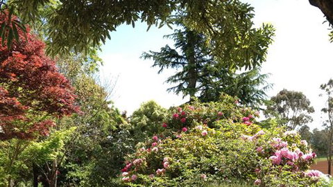 Chestnut Springs - Maitland Accommodation 2