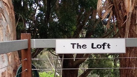 Chestnut Springs - Maitland Accommodation 4