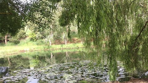 Chestnut Springs - Maitland Accommodation 7