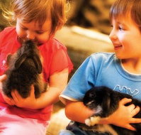 Macka's Farm - Maitland Accommodation