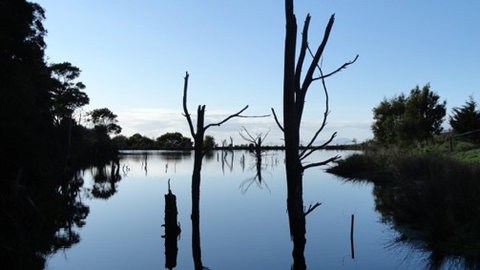 A Fare With Nature @ Prom Road Farm - Maitland Accommodation 6