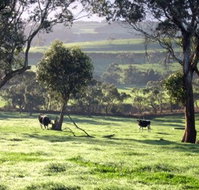 Bellevue Farmstay - Maitland Accommodation