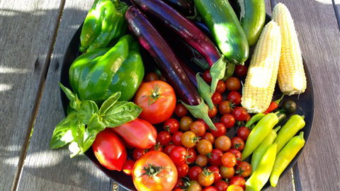 Griffins Hill Retreat - Maitland Accommodation 1