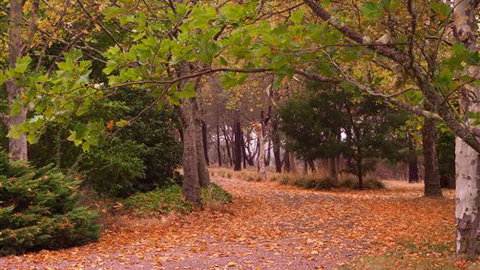 Griffins Hill Retreat - Maitland Accommodation 5