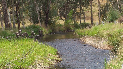Thowgla Valley VIC Maitland Accommodation