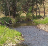 Murphy's Cabin - Maitland Accommodation