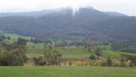 Murphy's Cabin - Maitland Accommodation 1