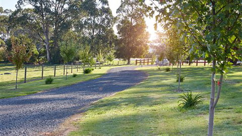 Neerim Chateau - Maitland Accommodation 6