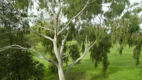 Parkside Stay Clifton Hill - Maitland Accommodation 2