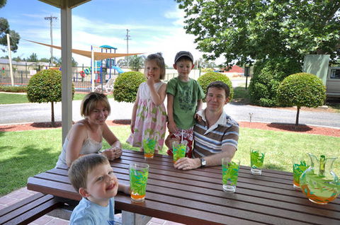 Albury All Seasons Tourist Park - Maitland Accommodation 2
