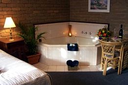Albury Classic Motor Inn - Maitland Accommodation 2