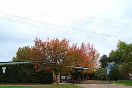 Allambie Motel Pty Ltd - Maitland Accommodation 0
