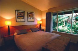 Alzburg Resort - Maitland Accommodation 3