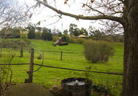 Amble Fern Studio - Maitland Accommodation 1