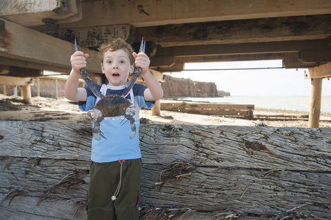 Ardrossan Caravan Park - Maitland Accommodation 6