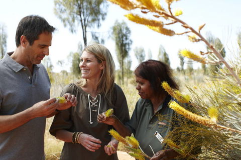 Ayers Rock Campground - Maitland Accommodation 2