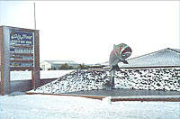 Big Trout Motor Inn - Maitland Accommodation 1