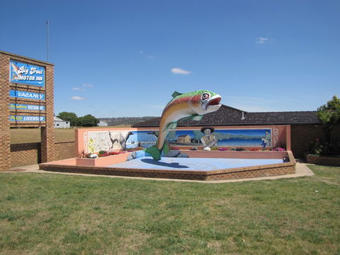 Big Trout Motor Inn - Maitland Accommodation 7