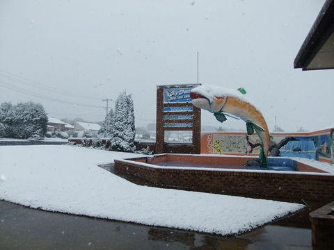 Big Trout Motor Inn - Maitland Accommodation 11