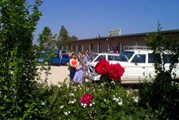 Boerbuck Country Motel & Host Farm - Maitland Accommodation 0