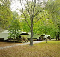 Buchan Caves Reserve - Maitland Accommodation