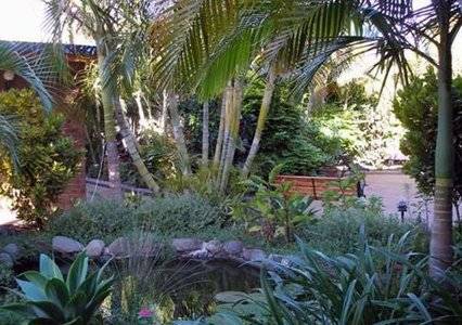 Comfort Inn Bert Hinkler - Maitland Accommodation 3